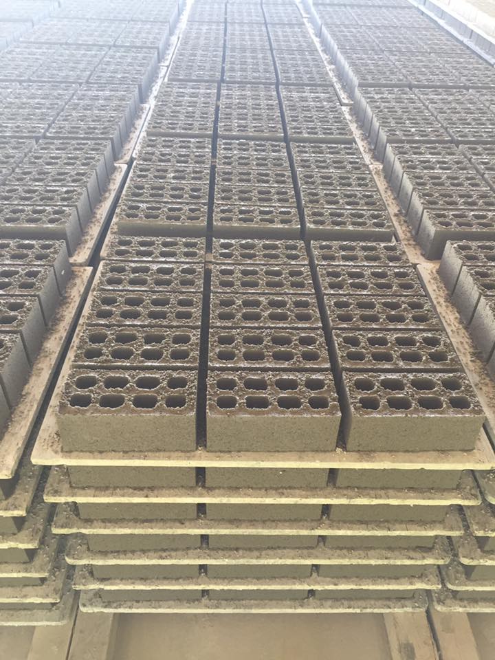 13502133 _ 15225913518 4578_5449929797232042817_n